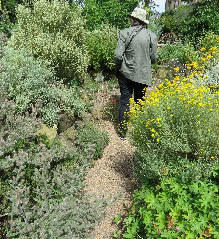 Person walking through a garden